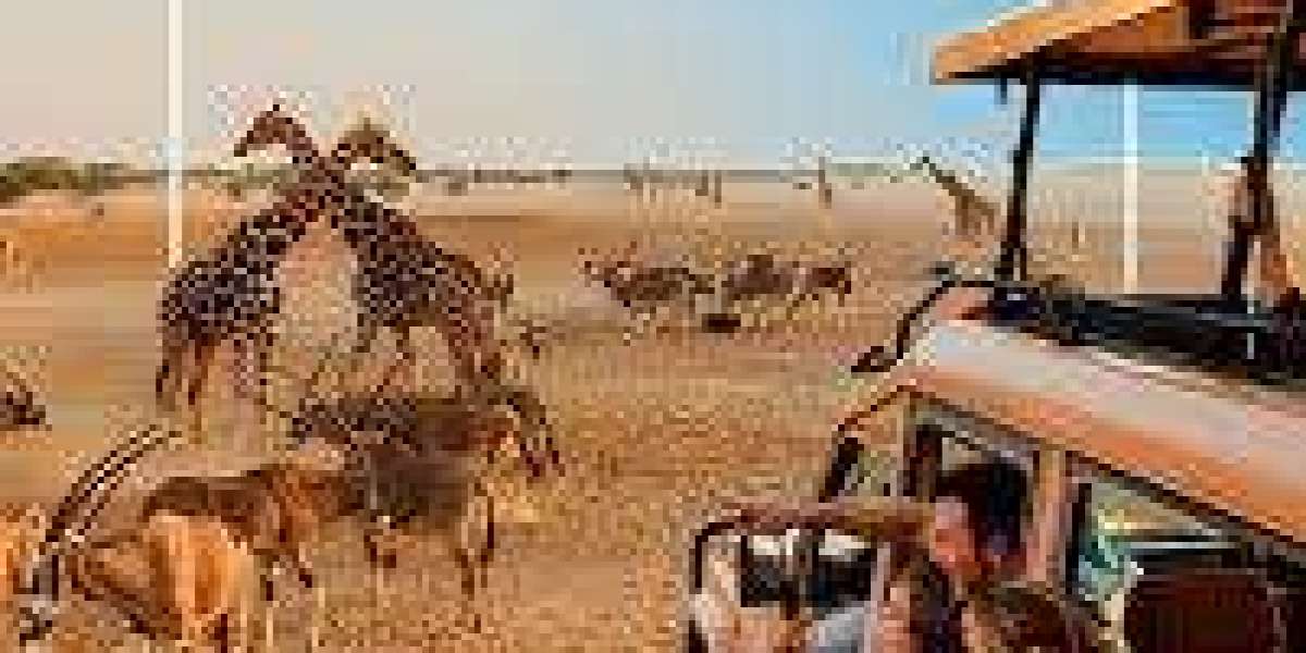 Abu Dhabi: Where Luxury Meets Adventure