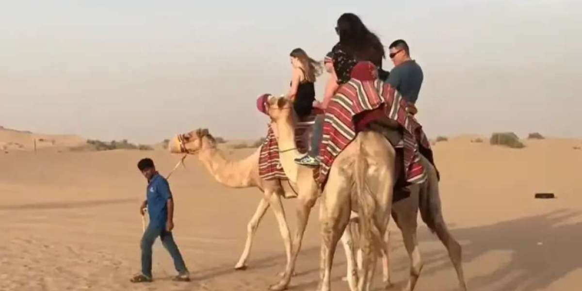 2025 Dubai Desert Safari Price Guide: What’s Cheap, What’s Premium?
