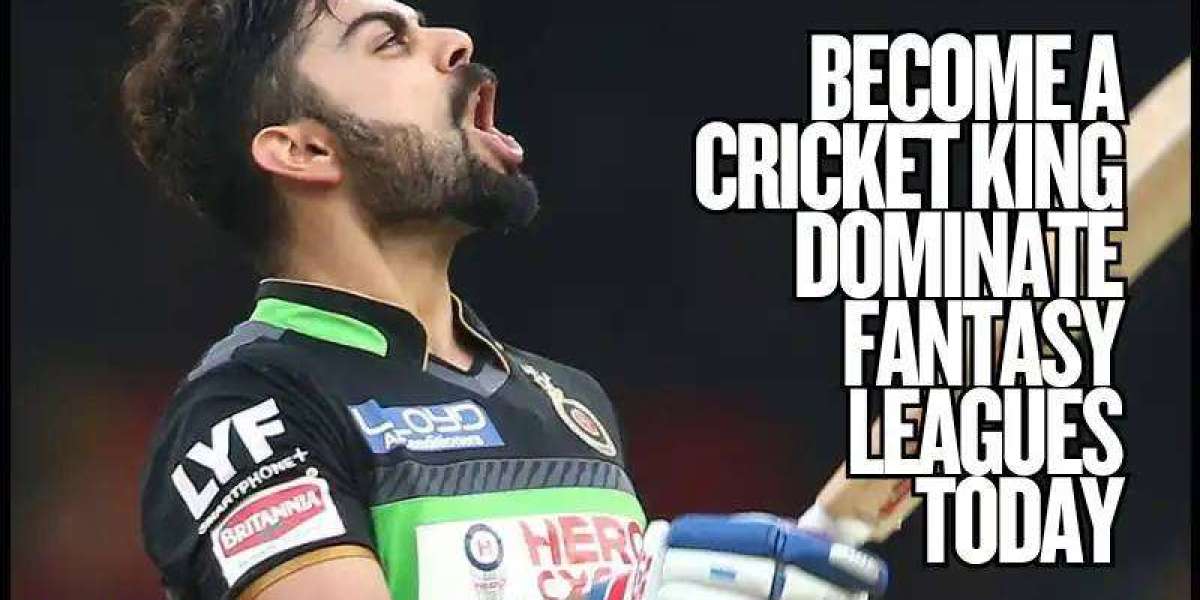 Become a Cricket King Dominate Fantasy Leagues Today