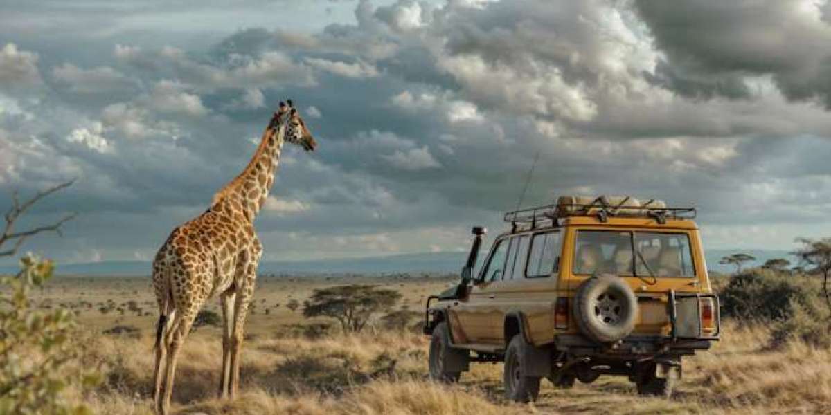 Unforgettable Tanzania Safari Tours Designed for Adventure by Vencha Travel