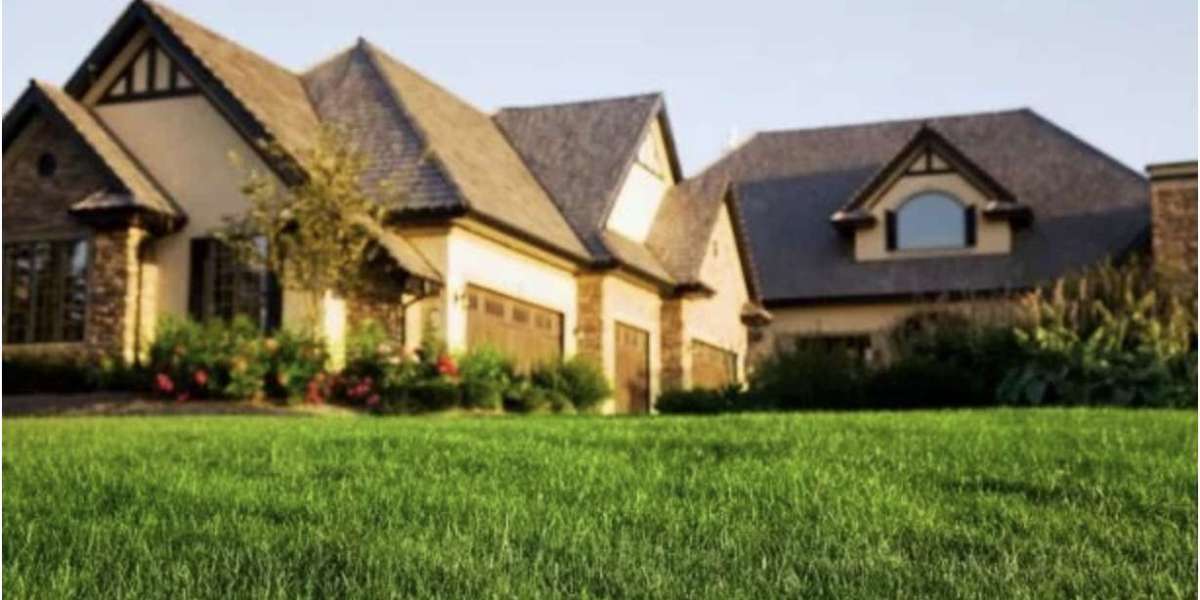 Lawn Care Services in Frisco TX
