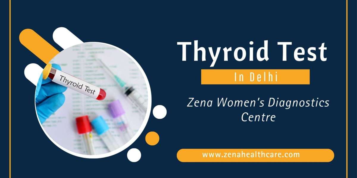 Thyroid 101: Understanding the Basics of Thyroid Function