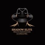 Shadow Elite Private Investigation