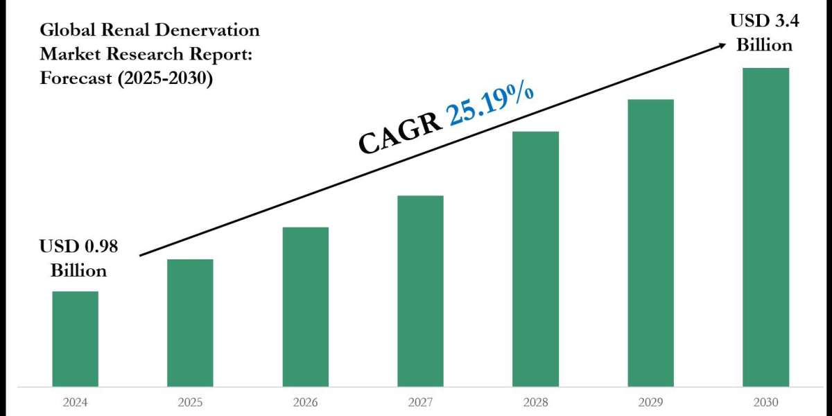 Renal Denervation Market Value, Forecast, and Industry Overview 2030