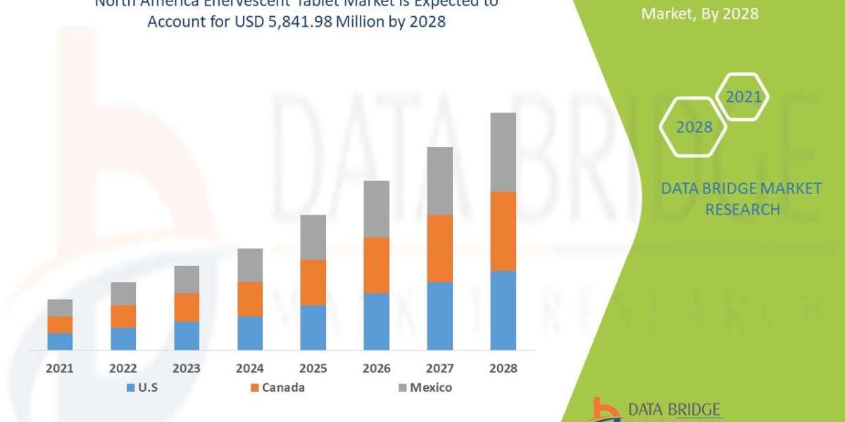 North America Effervescent Tablet Market Size, Share, Trends, Demand, Growth and Competitive Outlook