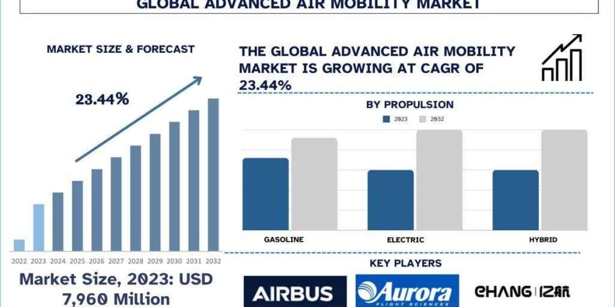 Advanced Air Mobility Market Report, Size, Demands & Forecast 2032