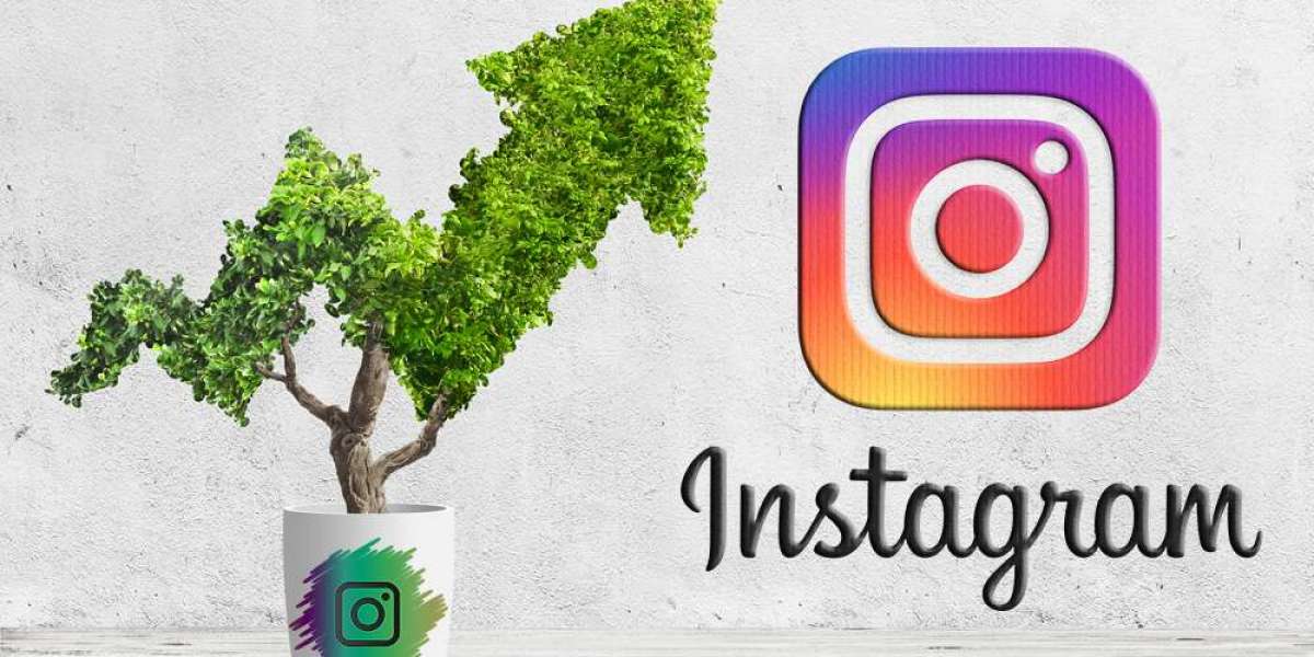 ProflUp Instagram Followers Turn Your Profile Into a Magnet
