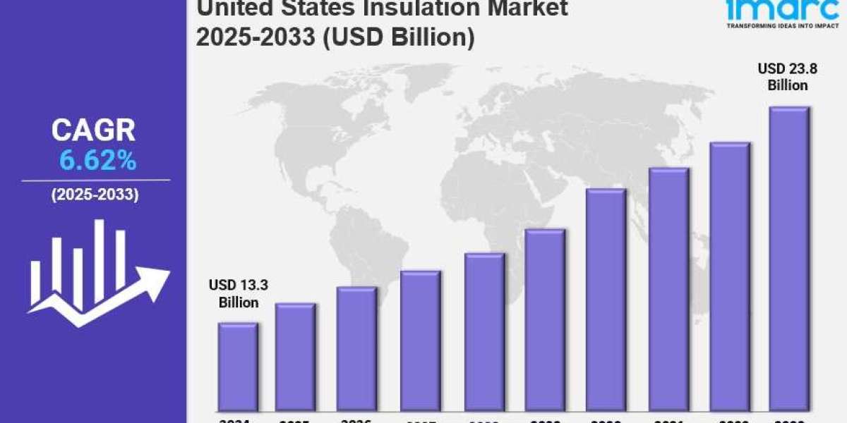 United States Insulation Market Report 2025 Edition: Industry Market Size, Share, Growth and Competitor Analysis