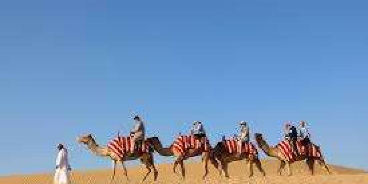 Exploring Abu Dhabi with Desert Rose Tourism: What to Expect and Why It’s Worth It