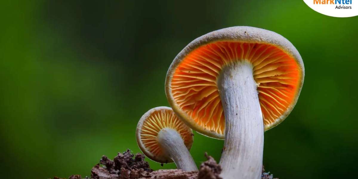 Top 9 Indonesian Mushroom Companies: Current Trends and Future Outlook, 2030