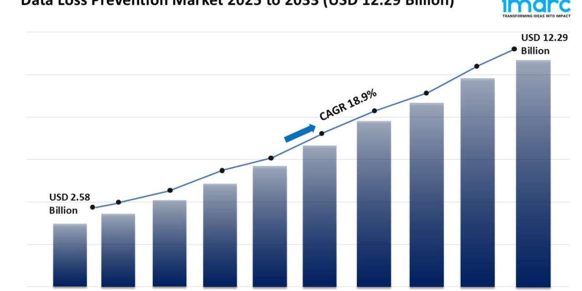 Data Loss Prevention Market Size, Growth, and Forecast 2025-2033