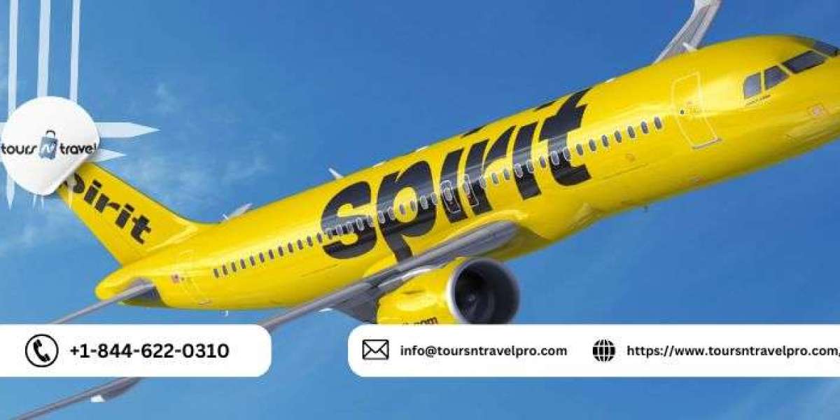 Spirit Airlines Name Change Policy