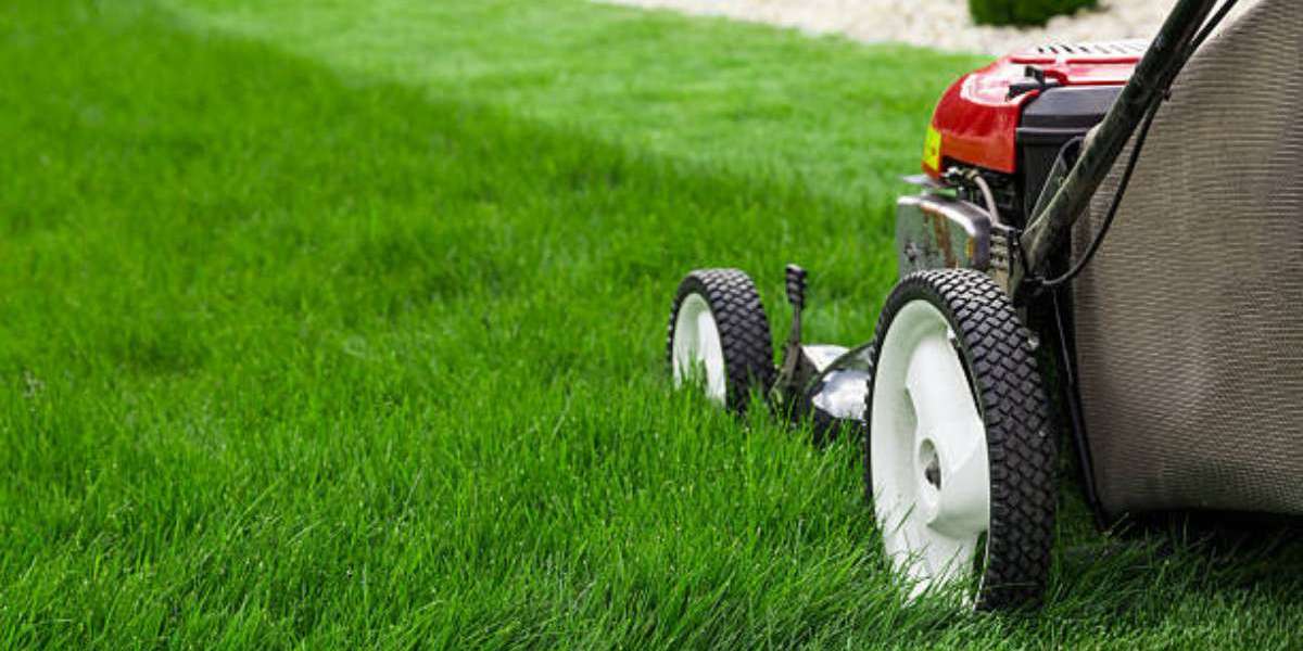 Start with Lawn Service in Leander That Meets Your Standards
