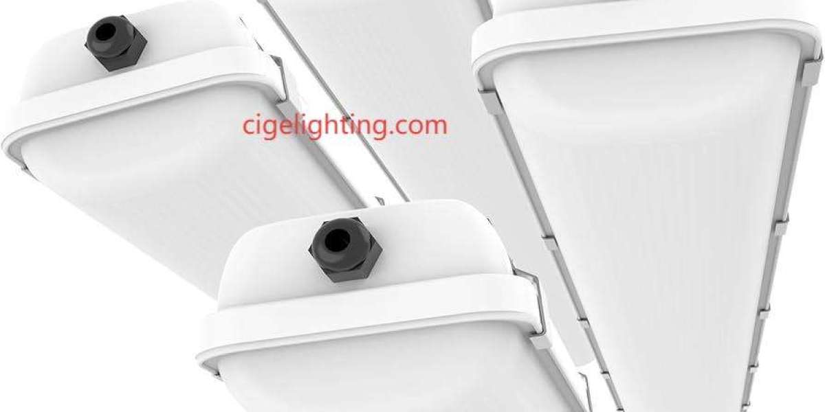 Why Forward-Thinking Buyers Prefer Cigelighting's Ip65 Waterproof Fixture