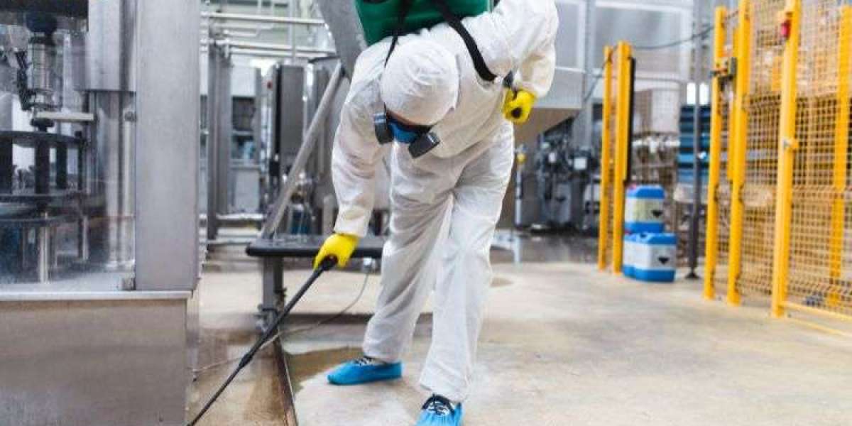 How to Prepare Your Home for Pest Control Service in Noida?