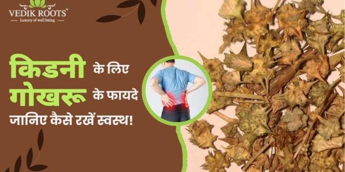 किडनी के लिए गोखरू के फायदे: जानिए कैसे रखें स्वस्थ!