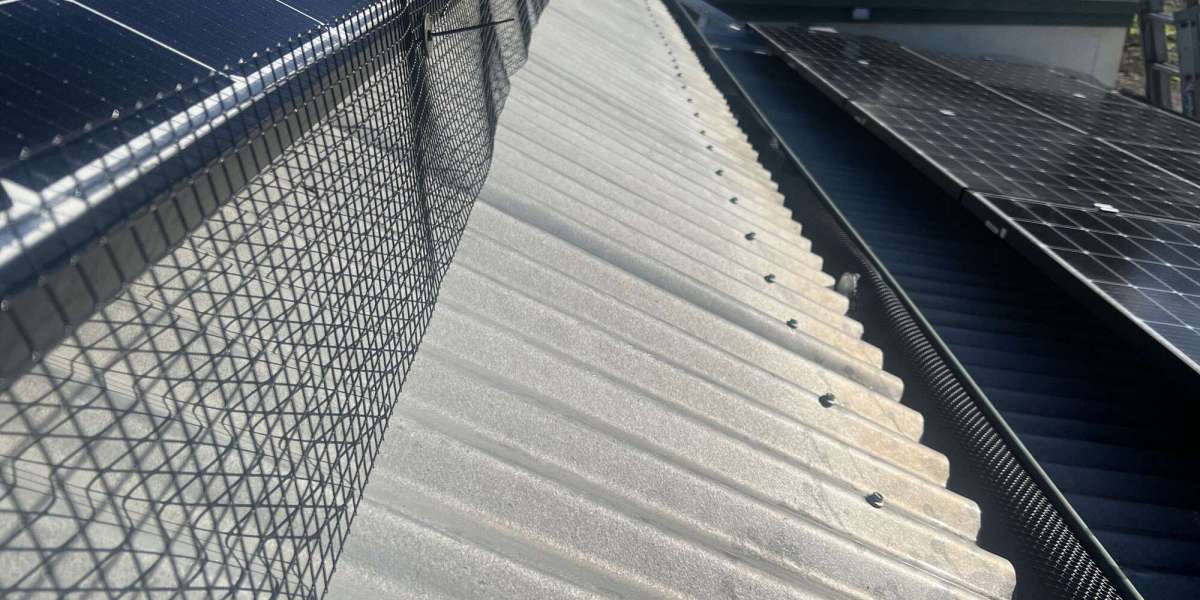 Protecting Your Investment: A Complete Guide to Solar Panel Bird Proofing and Bird Repellents
