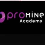 Prominent Academy