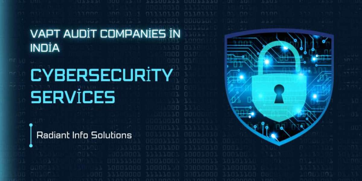Best VAPT Security Audit Service Provider Company in India