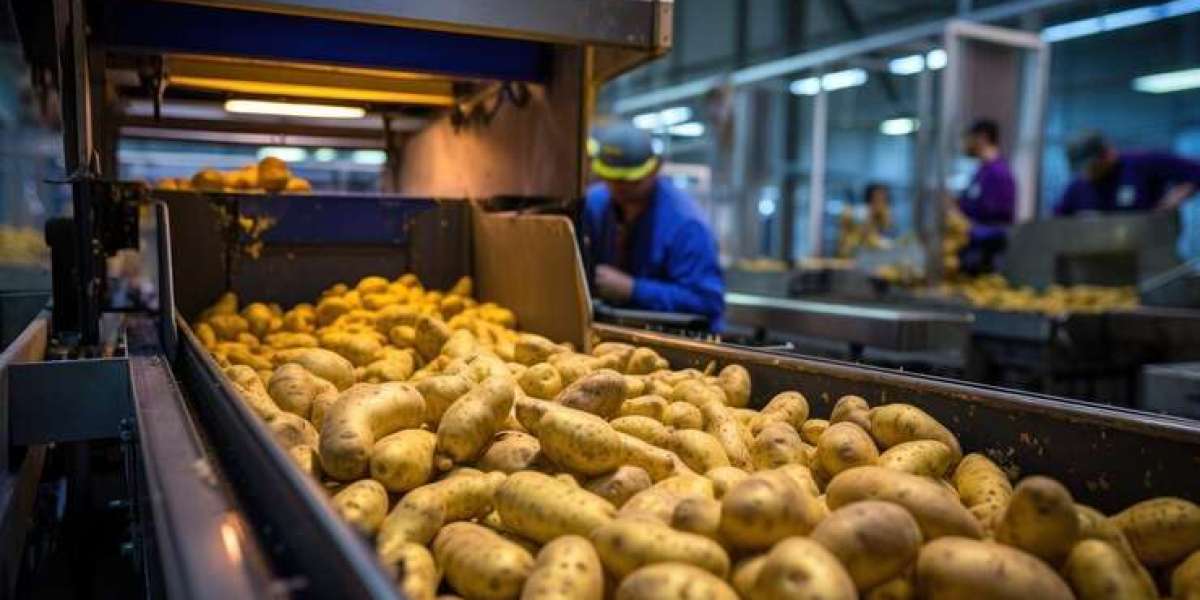 Establishing a Profitable Sweet Potato Processing Plant Setup 2025, Project Cost Details