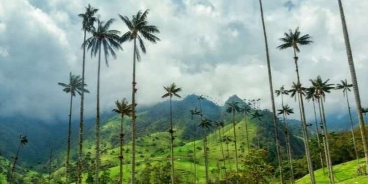 Vive Mas Tours: Your Invitation to See the World