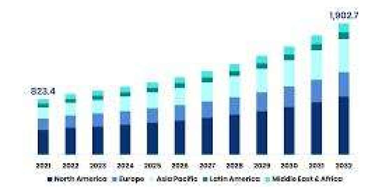 Nepal Elderly Care Market Size, Share, Trends, Demand, Industry Growth and Competitive Outlook