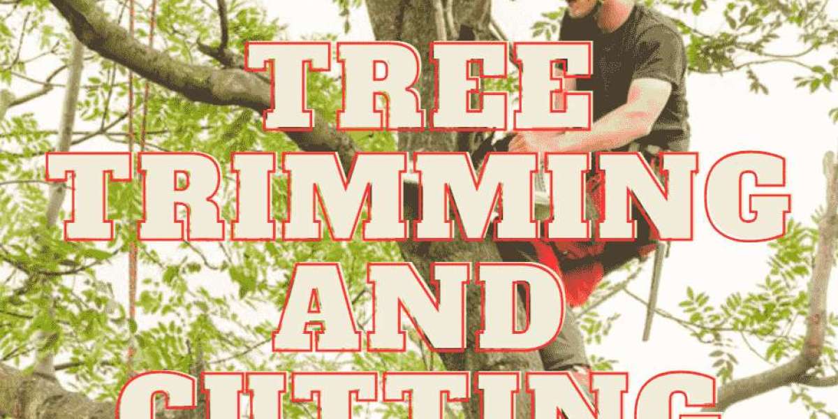 Ensure Safety with Audubon Tree Care's Tree Services in New Orleans