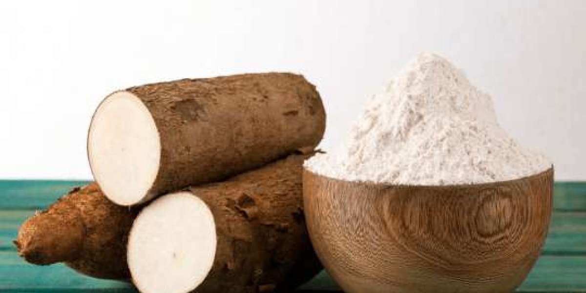 Cassava Processing Market Size & Industry Share - 2034