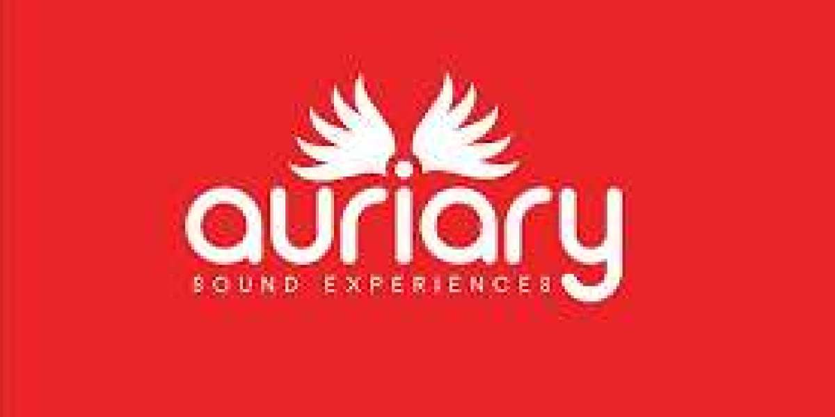 Best Wedding Disc Jockeys in NY: Unforgettable Moments with Auriary DJs
