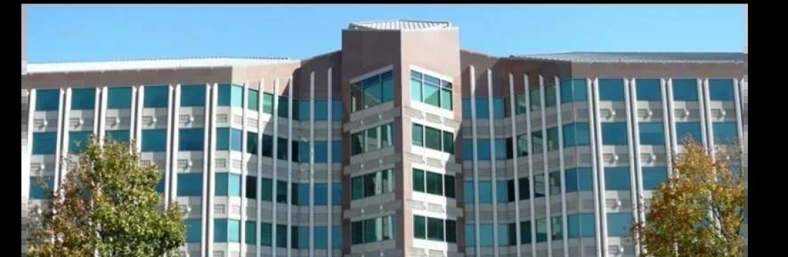 Illinois Language Services