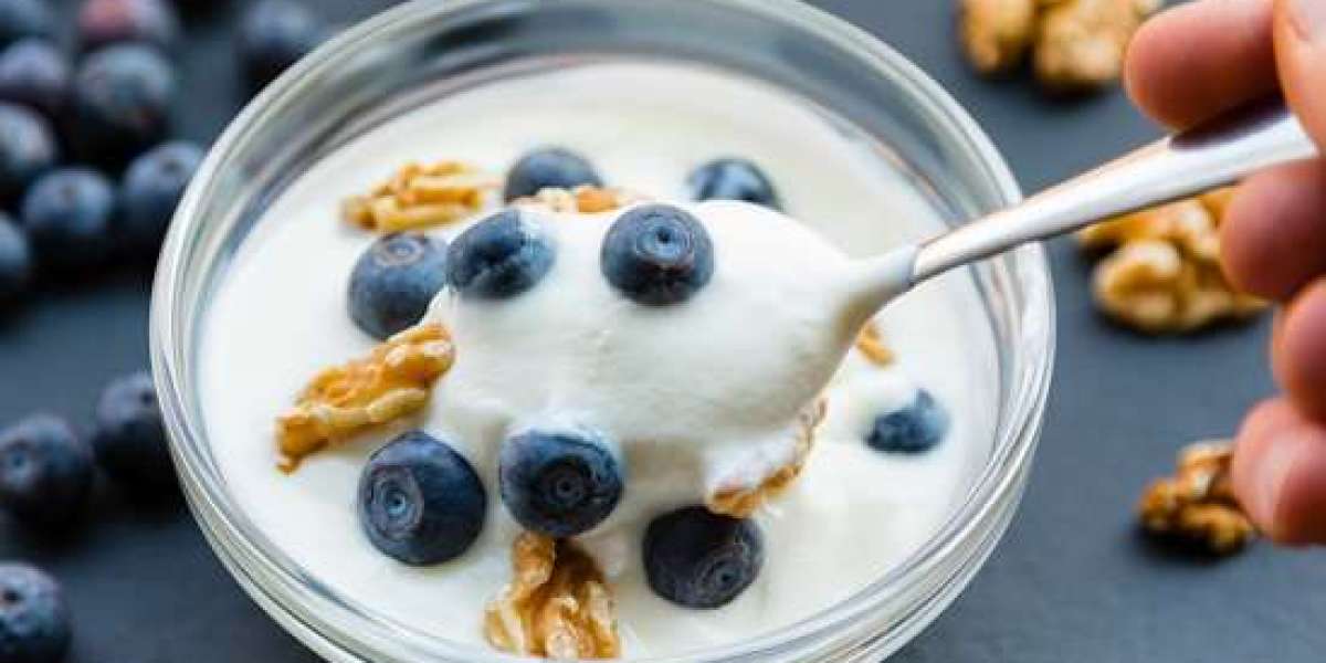 Greek Yogurt Market Outlook: Trends, Growth Drivers, and Future Forecast