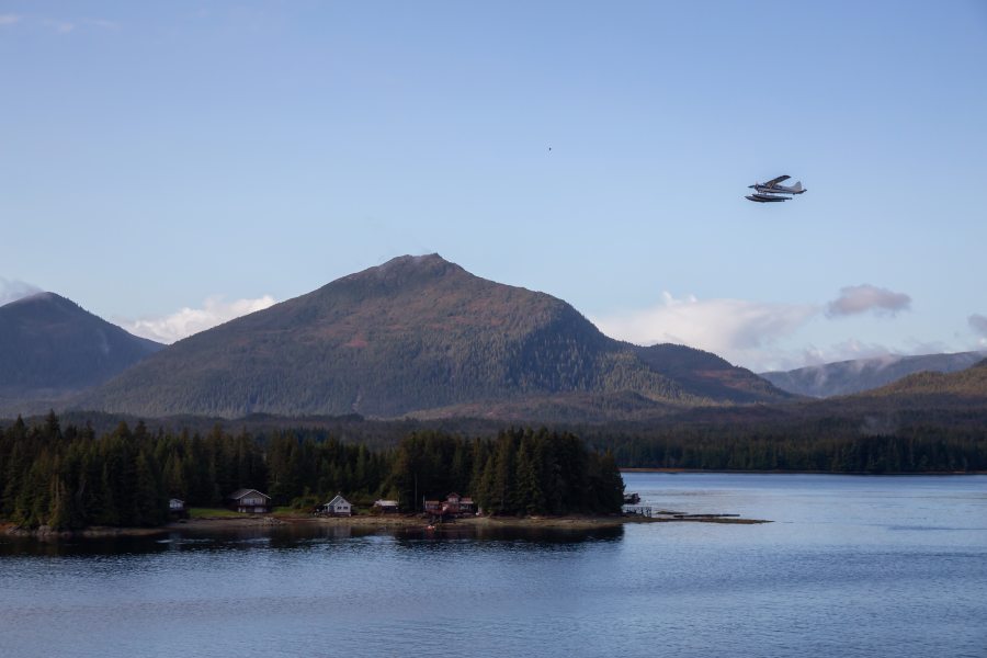 Let’s Fly from Homer to Katmai For Bear Viewing!