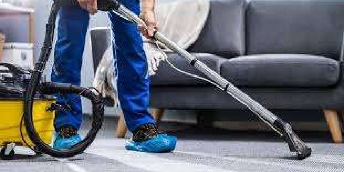 ﻿﻿Enhancing Home Wellness and Comfort with Expert Carpet Cleaning