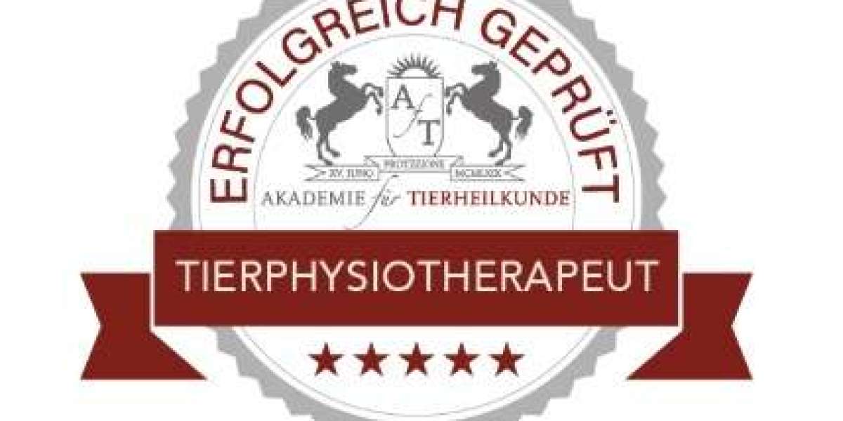 Leverkusen city guide travel tips