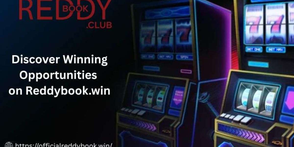 Discover Winning Opportunities on Reddybook.win