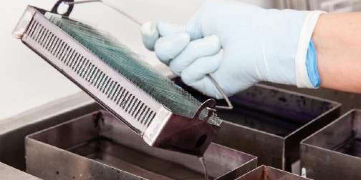 Optimizing Seed Production with Efficient Inline Cleaning and Seed Box Washer Technologies