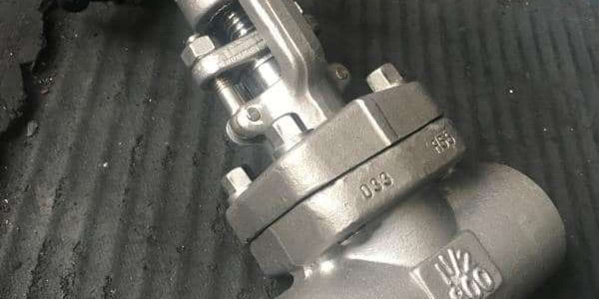 Check Valve Manufacturers in India