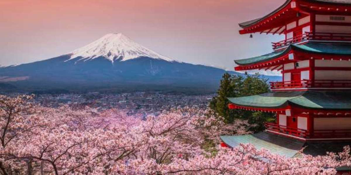 Two Paths to Japan’s Soul – Nikko Tours and Kamakura Tours