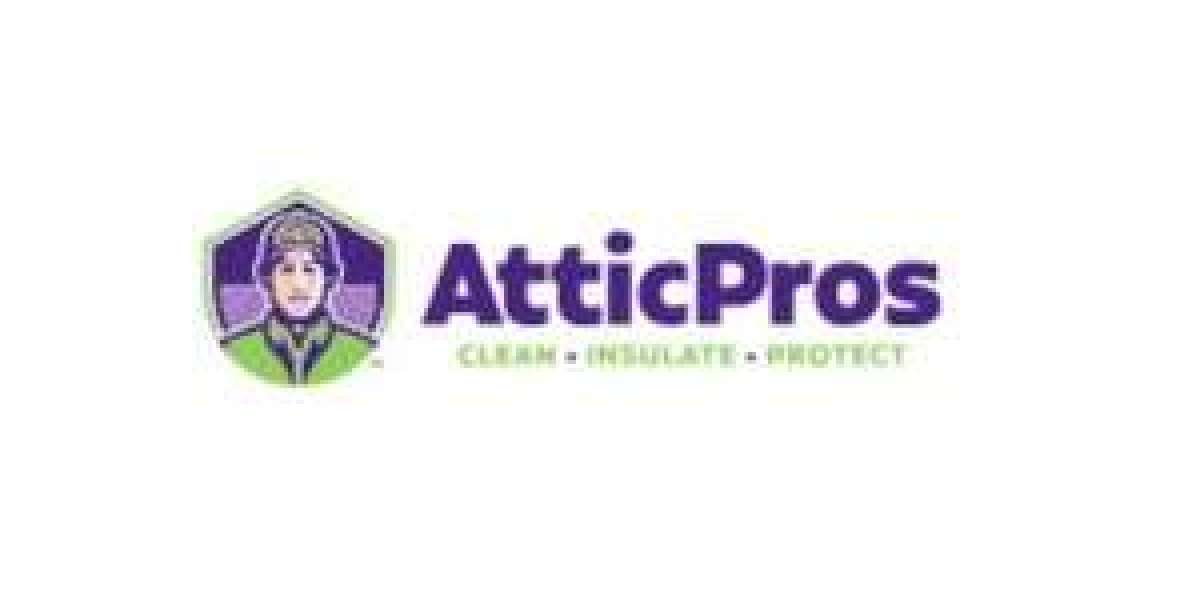 A Clean Start: Why Professional Rodent Cleaning Services Are Essential for Your Home