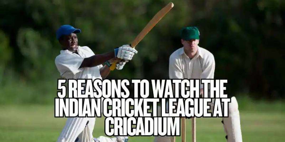 5 Reasons to Watch the Indian Cricket League at Cricadium