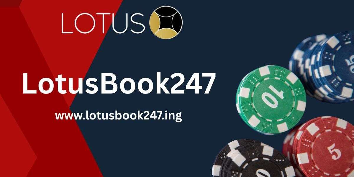 Card Games at Dawn: Why LotusBook247 Attracts Early Risers