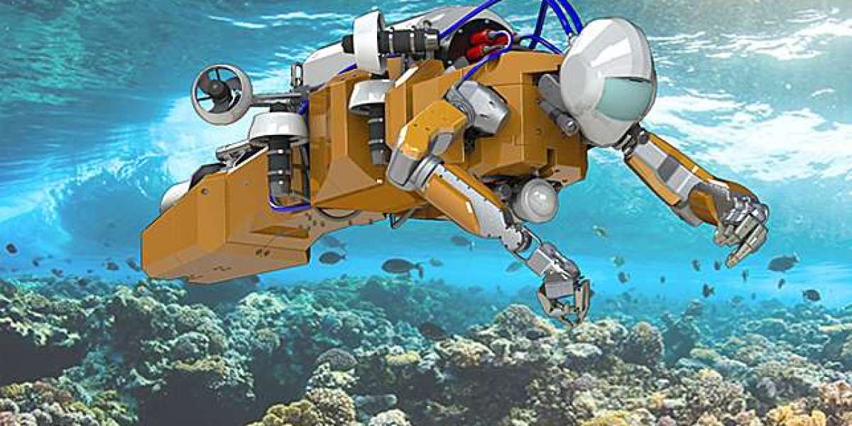 Underwater Robotics Market Size, Trends, Growth Factors, and Forecast 2025-2033