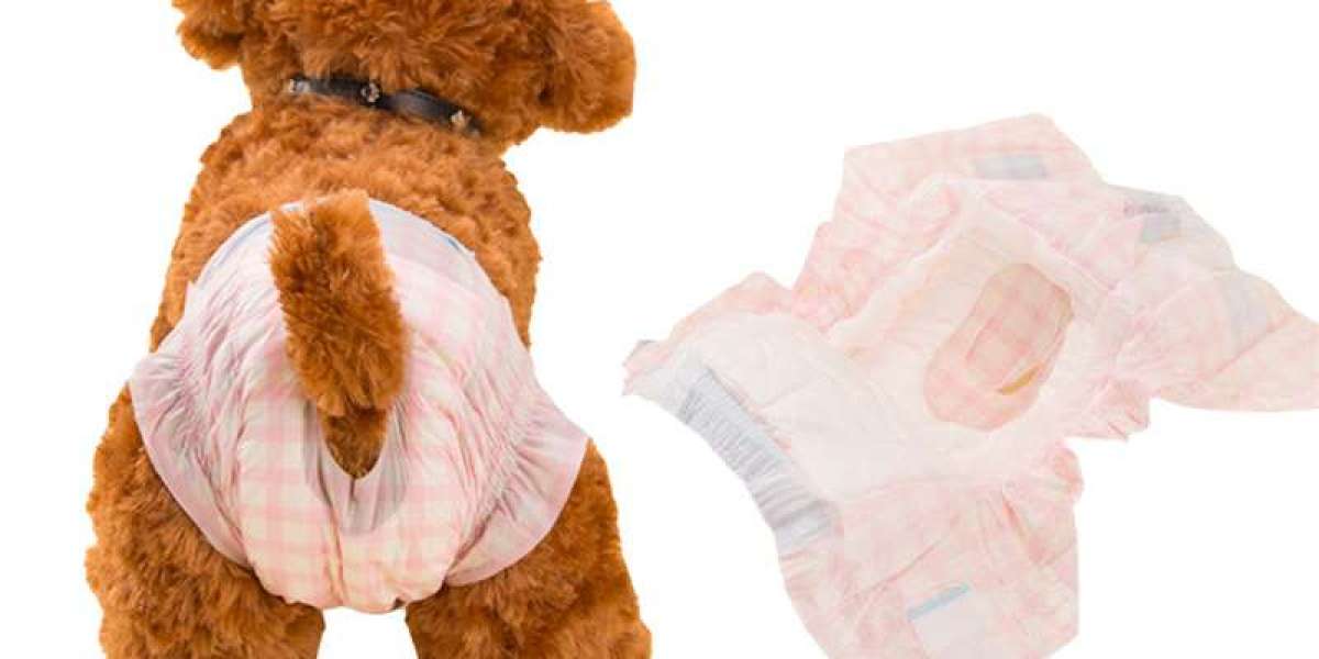 Male Dog Diapers: A Practical Solution for Incontinence and Marking