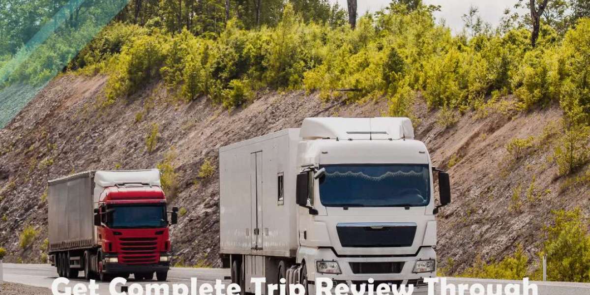 Build Your Own GPS Tracking Brand with Ease Using White Label Solutions