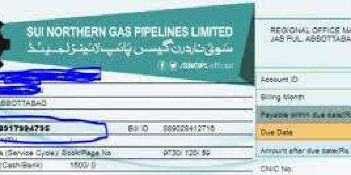 How Sui Gas Bill Online Check Saves Time and Effort