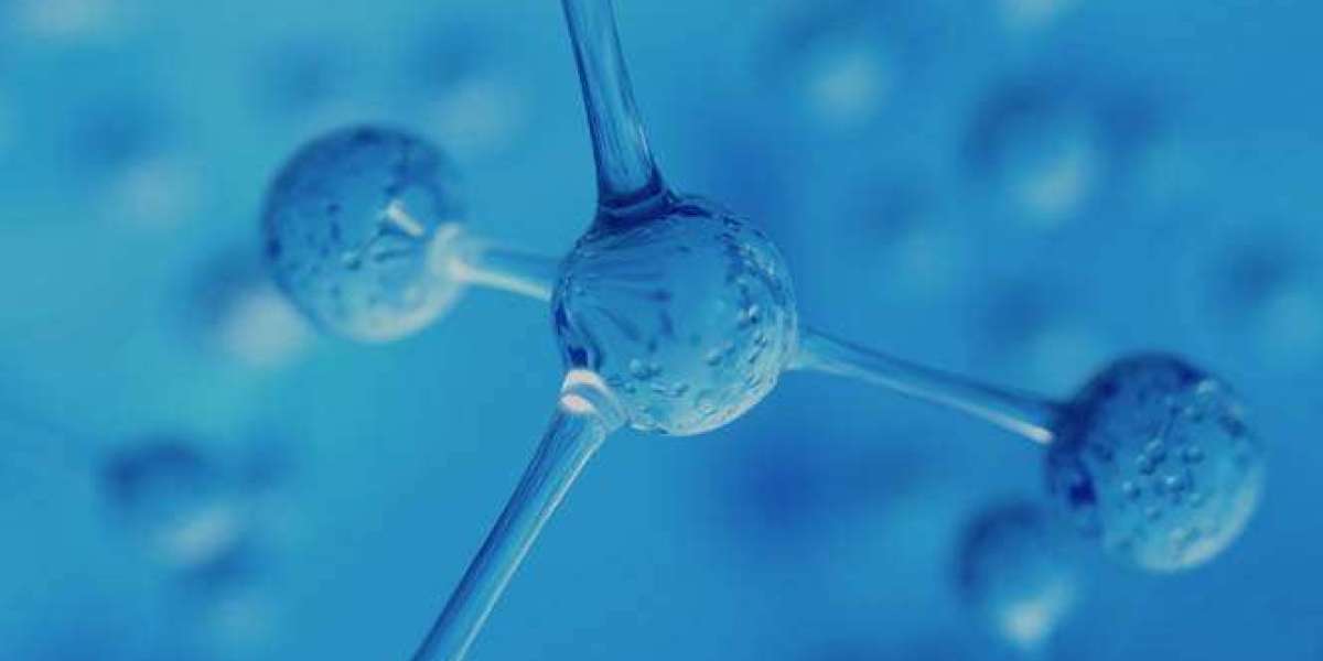 Isotope-Labeled Compounds: Essential Tools for Scientific Research