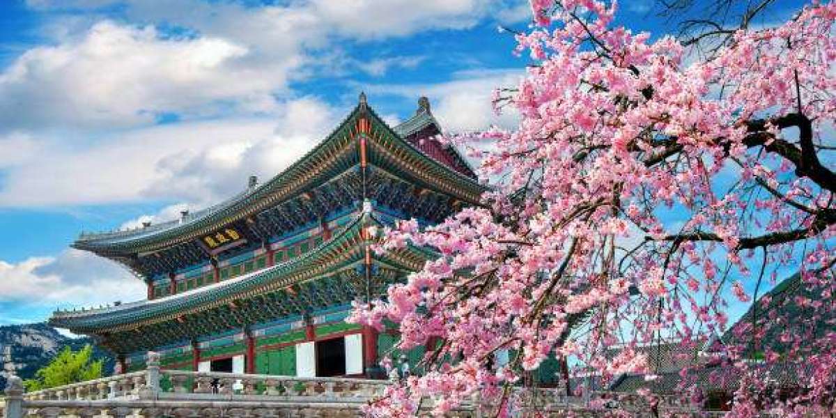 Explore Seoul's Diversity Through a Carefully Planned Seoul City Tour