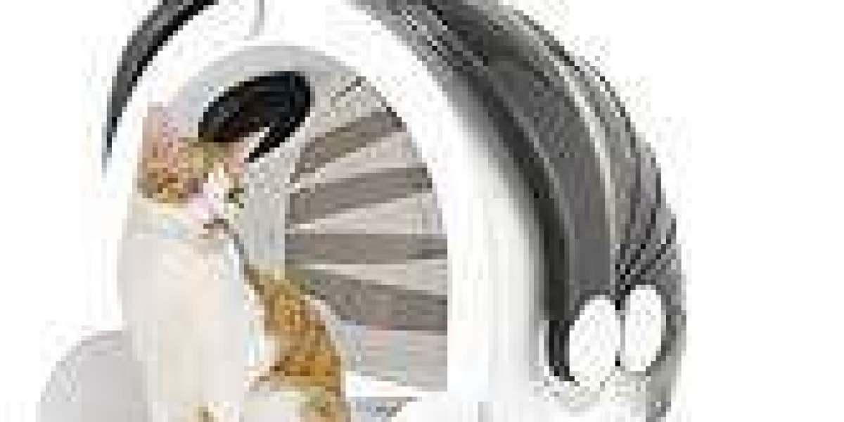 Why Choose PawTechPet Pet Dryer?