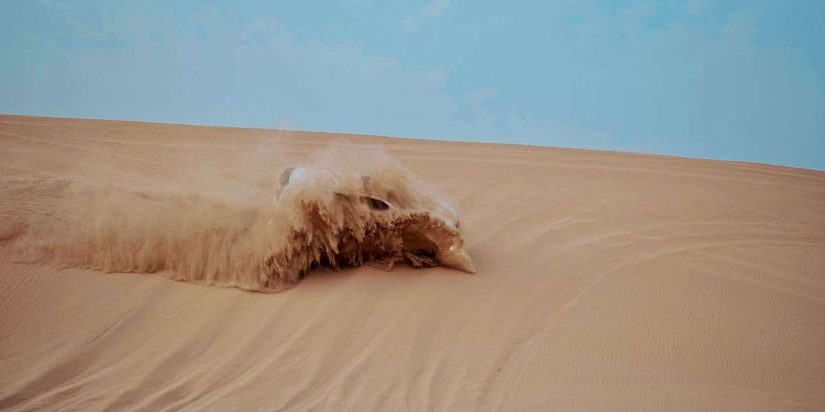 Explore an adventure journey through the Desert & Enjoy the City Tour in Abu Dhabi