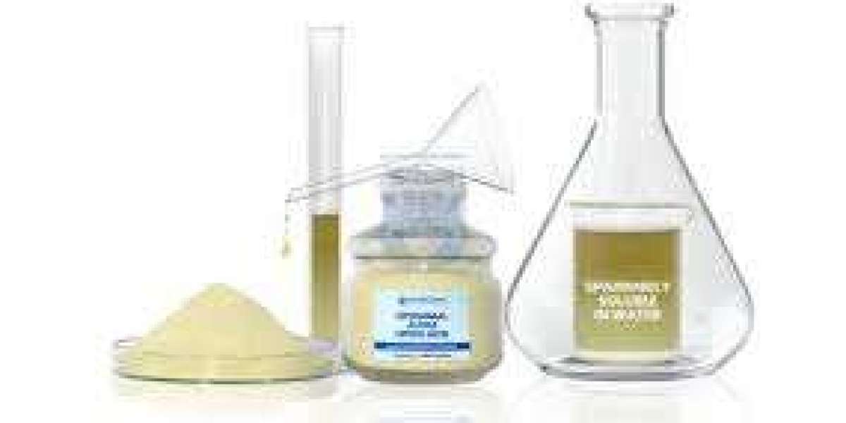 Liposomal Powder Manufacturers: Redefining Nutrient Delivery Through Innovation